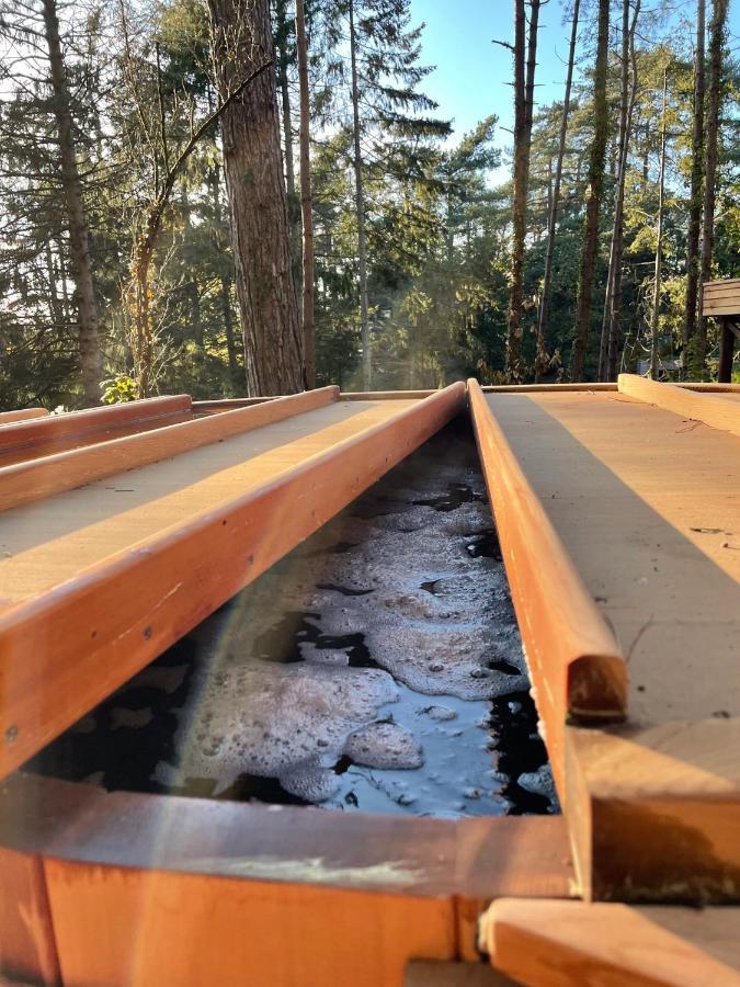 Bain De Foret - Lodges Cosy & Spa Neufchâtel-Hardelot Exterior foto