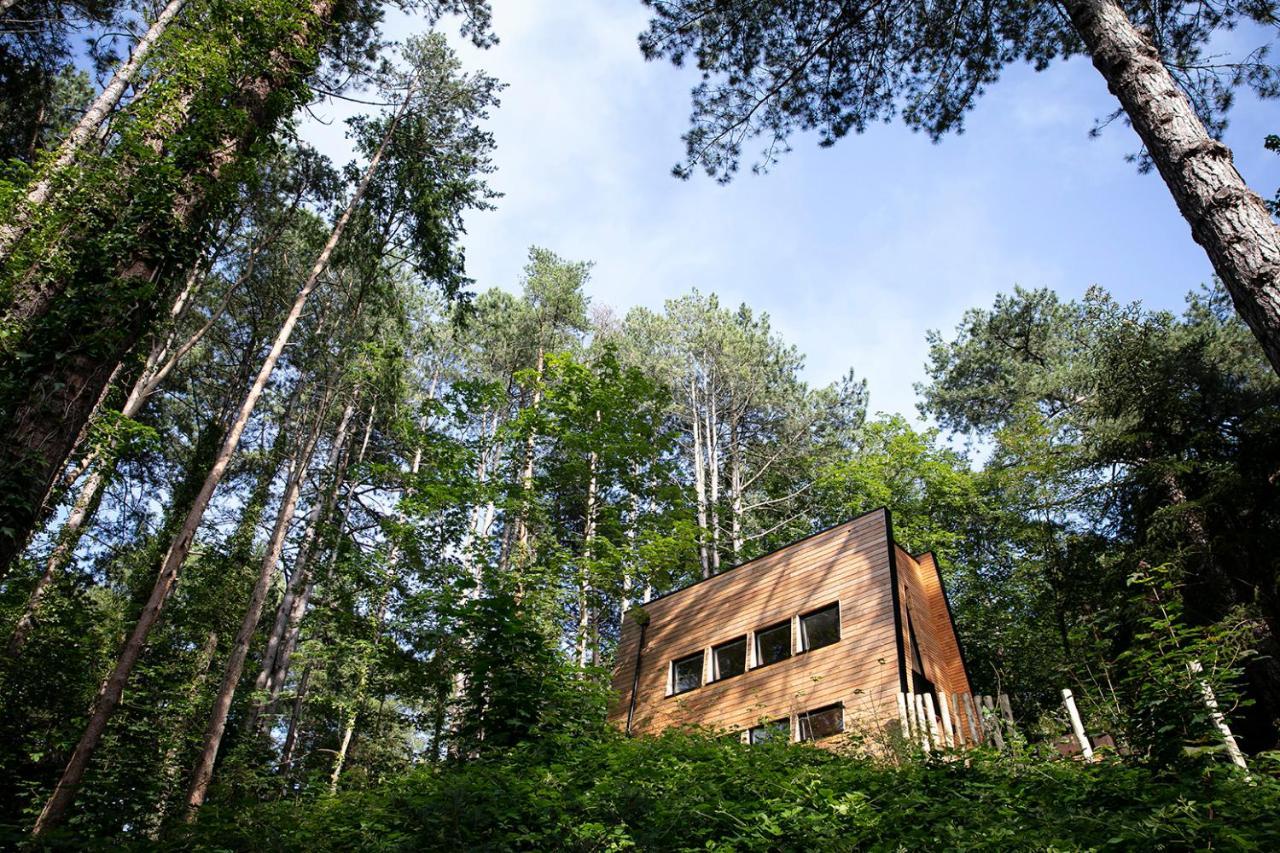 Bain De Foret - Lodges Cosy & Spa Neufchâtel-Hardelot Exterior foto
